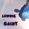 LUDDIE SAINT - Story of Me