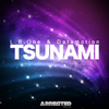 L.B. One - Tsunami (Helvetic's Remix)