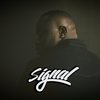 Signal - Lozenges Freestyle