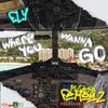 F.L.Y - Where You Wanna Go