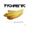 Richastic - Gold Digger