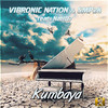 vibronic nation - Kumbaya (Radio Edit)