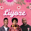 Josh Deman - Liyoze (feat. Ze2 & King Tone SA)