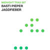 Basti Pieper - Dont leave me now (Original Mix)