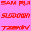 Tzekin - Sunset Spot (Sam Rui Version)