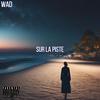 Wad - Sur la piste