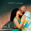 Amini - Kwa X