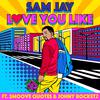 Sam Jay - Love You Like (feat. Smoove Quotes & Johny Rocketz)