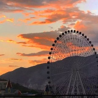 你来迟了吗｜你错过了吗