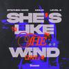 Stephen Oaks - She's Like The Wind