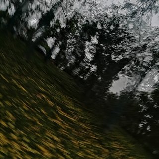 这场碎尸案是自杀