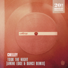 Chelley - Took The Night (Amine Edge & DANCE Remix)