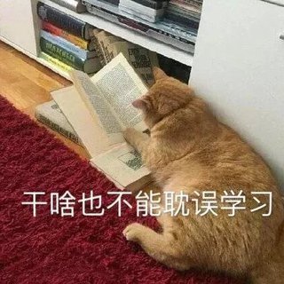 提高学习/工作/睡觉质量的纯音乐（二十五）