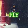 Draft - Fly