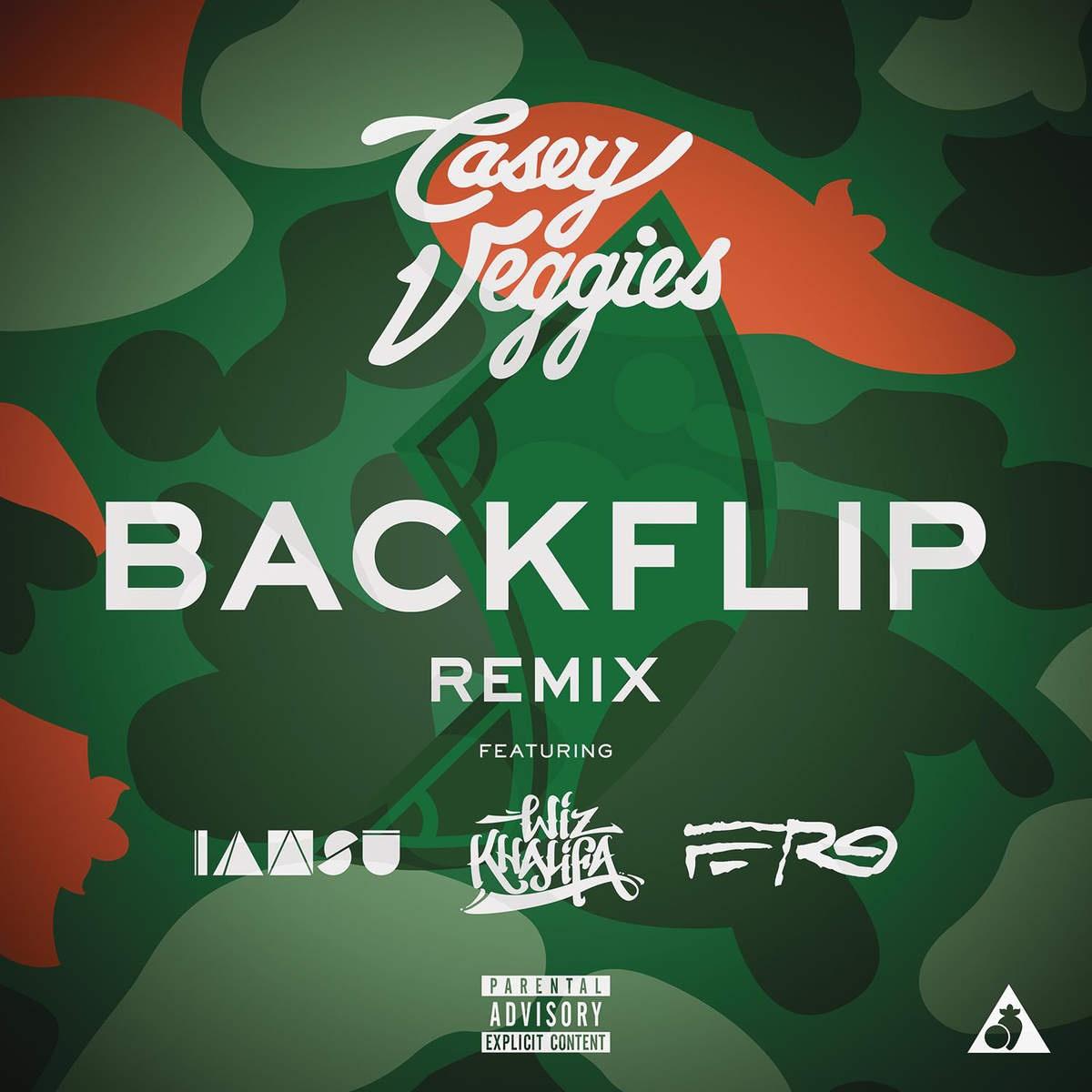 backflip (feat. wiz khalifa, a$ap ferg & iamsu!) [remix]