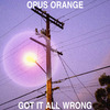 Opus Orange - Got It All Wrong