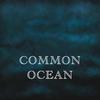 Ian Prise - Common Ocean (Live at Salford)