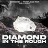 Nemchel - Diamond In The Rough