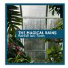 Rainy Gardens Nature Sounds - Tropical Insects & Frogs