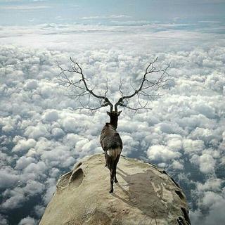 Dream Edge 梦之边缘