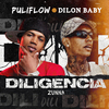 puli flow - Diligencia