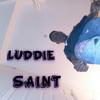 LUDDIE SAINT - NOT PERFECT