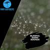 Rainy Gardens Nature Sounds - Active Insects & Frogs