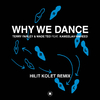 Terry Farley - Why We Dance (Hilit Kolet Remix)