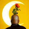 Kevin Posey - Yellow Roses