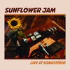 Sunflower Jam - Walking on Sunshine (Live)