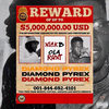 nick b - Diamond Pyrex