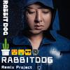 Rabbitdog - DIGI GHETTO-地基街头2022（RABBITDOG REMIX）（