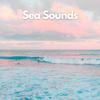 Sea Waves Sounds - Maritime Musing (Ocean and Sea Sounds for Relaxation)