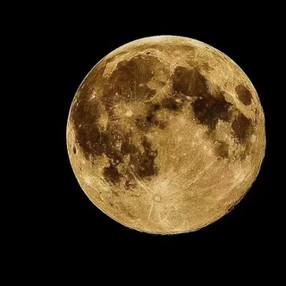 【Gittar nahxa Toplam】吉他歌曲集