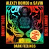 Alexey Romeo - Dark Feelings (Giorgio Brindesi Remix)