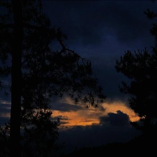 “爱意随风起”