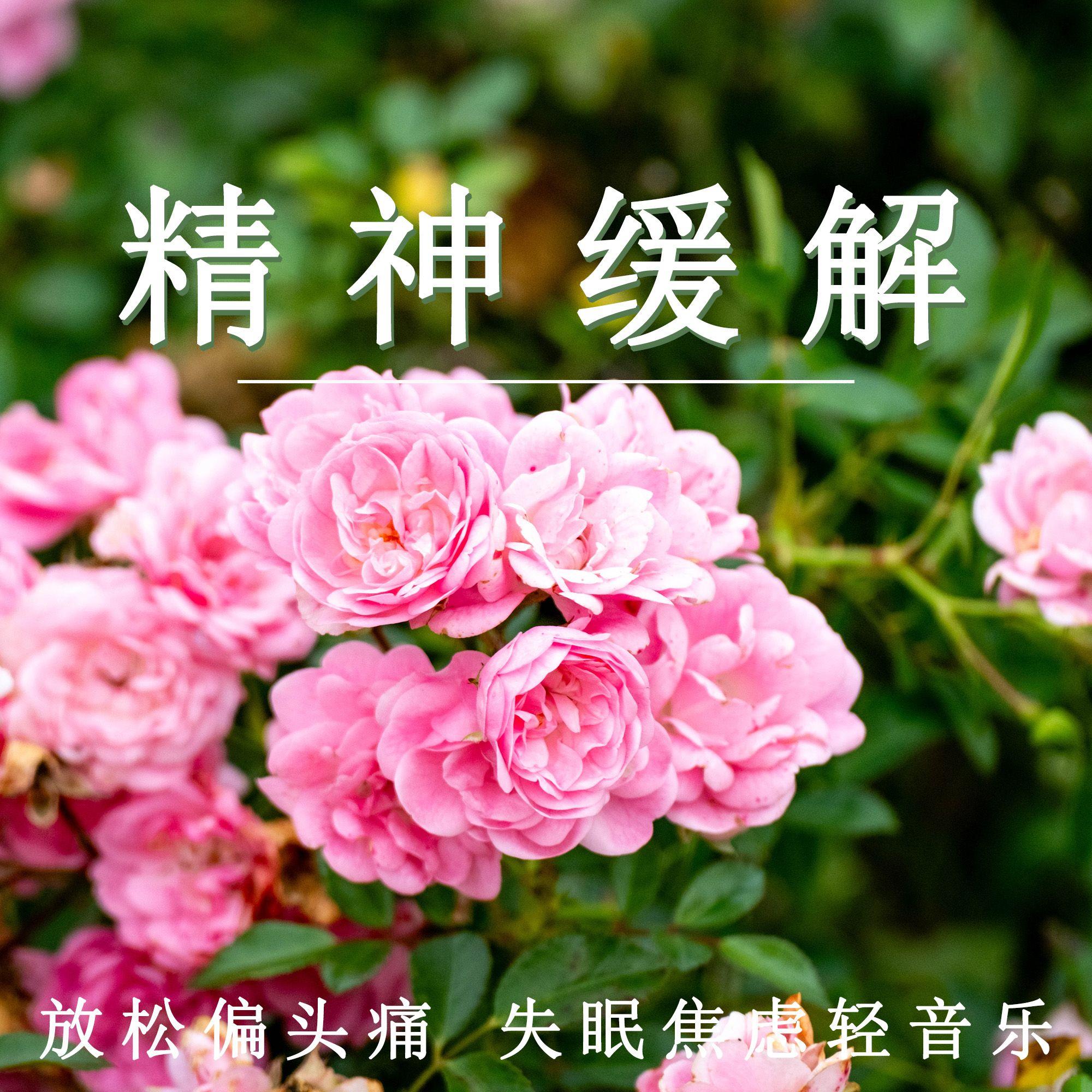 精神缓解（疗愈纯音乐）