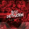 Season98 - Self Distruction (feat. Mellow Don Picasso)