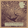 Carrie Newcomer - Start With A Stone