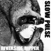 Slow Pulse - Riverside Ripper