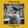 Bishop Briggs - The Way I Do (Total Ape Remix)