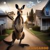 DJ Insane - Kangaroo