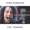 Todd Barriage - Mr. Brightside