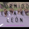 Poetas Puestos - Dormido Está el León