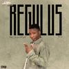 Regulus PLM - Journey (feat. Danny s) (Remix)