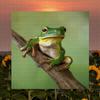 sushisingz - shy little frog (slowed & reverb)