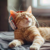 Calming Music for Cats - Purring Kitten Harmony