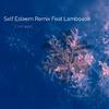 Liltraytj - Self Esteem (feat. Lambo4oe) (Tjmix)