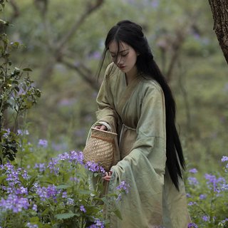 古风·春日｜疏懒意何长，春风花草香