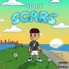 Spicy - Scar$